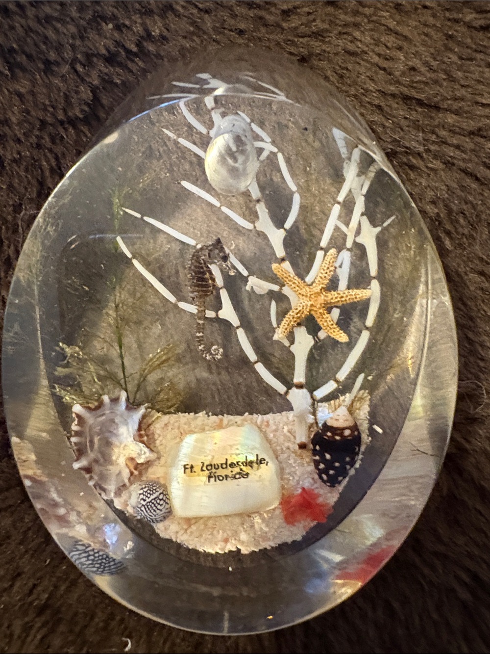 Ft. Lauderdale Florida Coastal Resin Keepsake – Clear with Natural Shell Accents